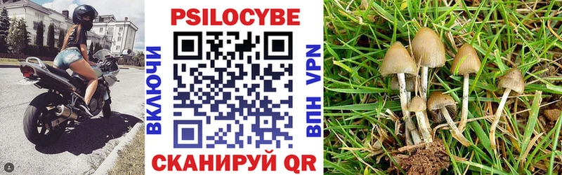 darknet Telegram  Вяземский  Псилоцибиновые грибы прущие грибы 